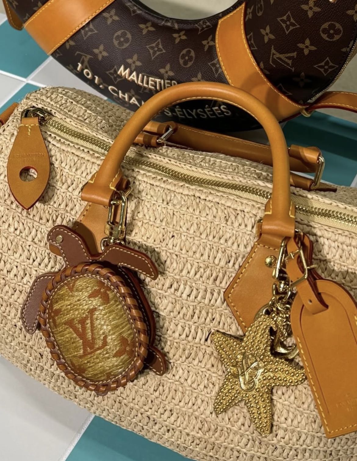 LV Turtle Pouch Bag Charm