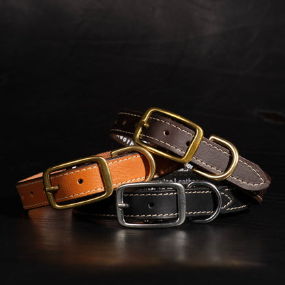 Trailblazer - Premium Leather Dog Leash and Collar Set