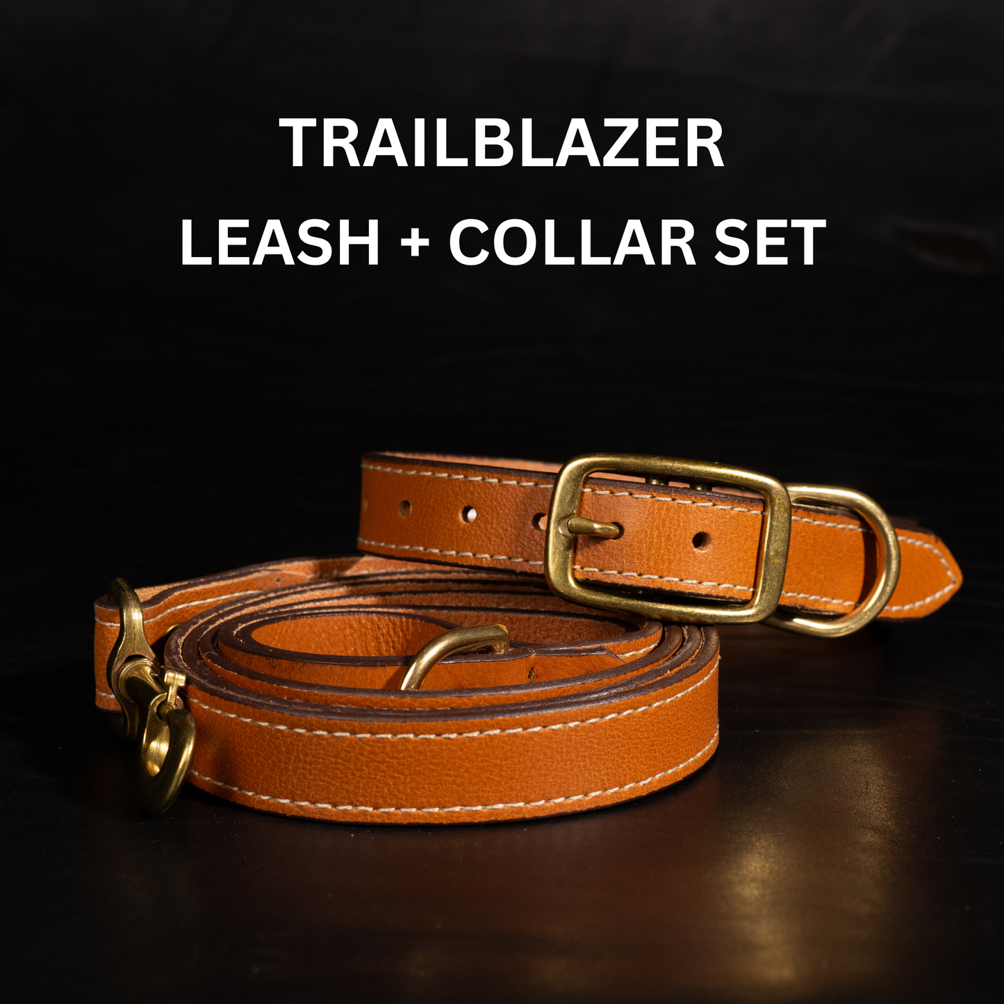 Trailblazer - Premium Leather Dog Leash and Collar Set