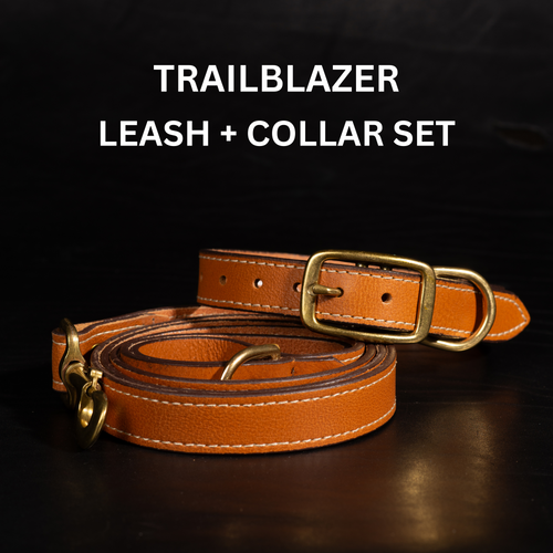 Trailblazer - Premium Leather Dog Leash and Collar Set
