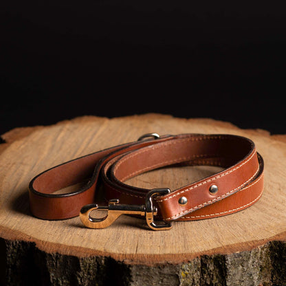 Trailblazer - Premium Leather Dog Leash and Collar Set