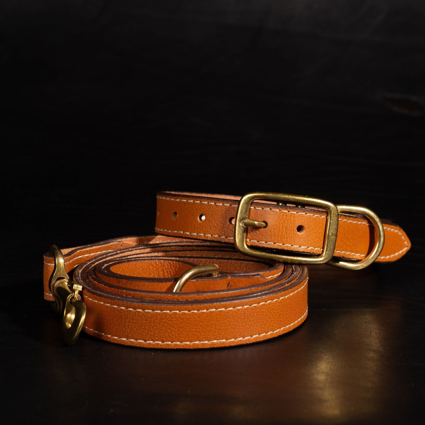 Trailblazer - Premium Leather Dog Leash and Collar Set