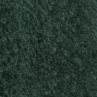 Flat Highley Genuine Leather Watch Strap - Reef