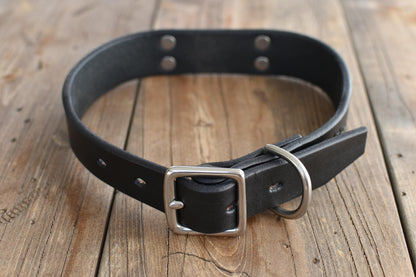 Dog Collar