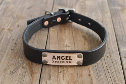 Dog Collar