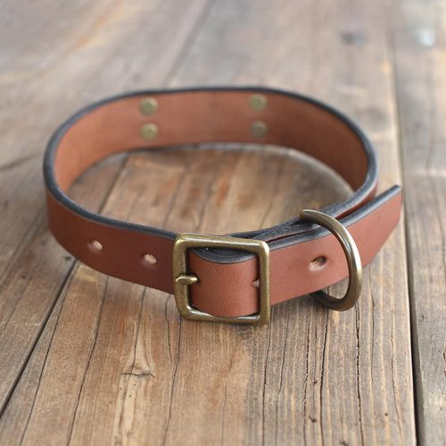 Dog Collar