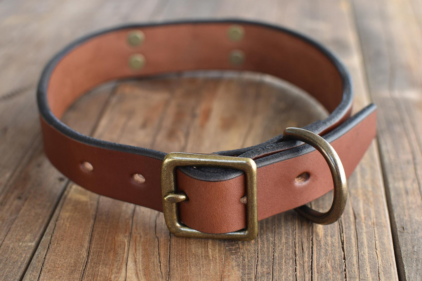 Dog Collar