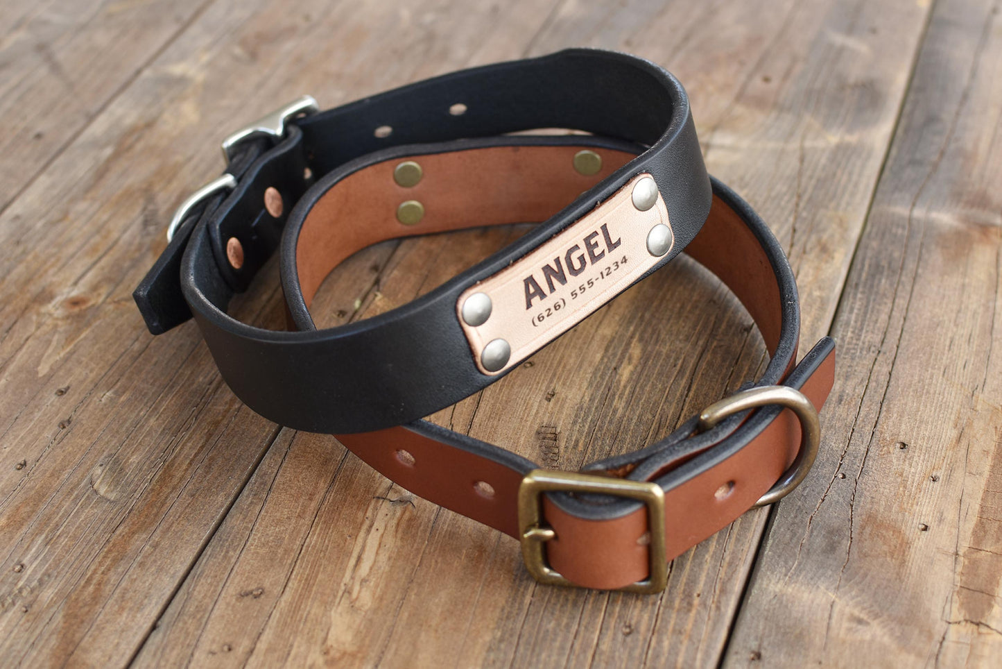 Dog Collar