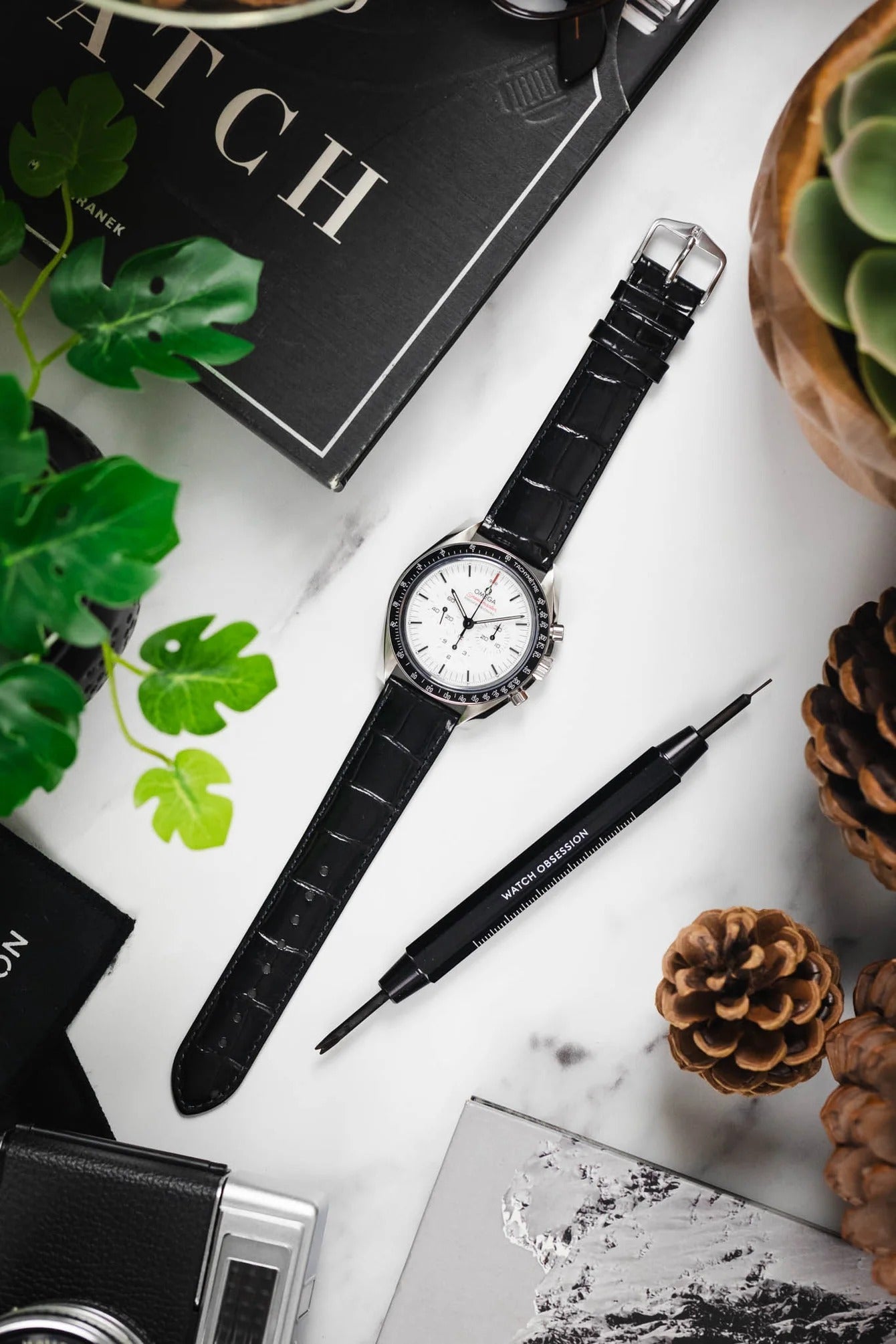 Hirsch LOUISIANALOOK Alligator Embossed Leather Watch Strap